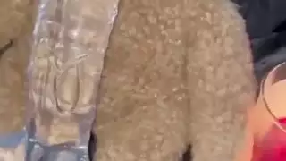 غريب الغذاء الإباحية صنم الاستمناء هواة العربية سنو وايت المتطرفة السعودية مسلمة فتاة