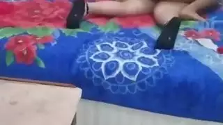 ستة الحمار العربي الساخنة