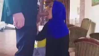 جميل أبولونيا يحب مص الديك الكبير