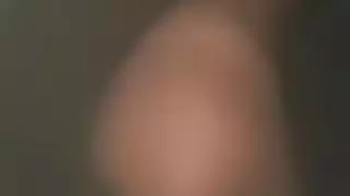 فيد