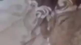 فتاة تسقط سراويلها الداخلية لحبيبها التركي