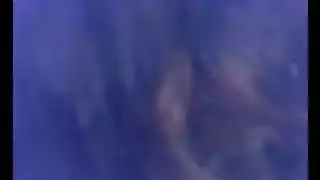 شهد ام دم خفيف مع عشيقها احلى شرمطه واباحه ونياكه شديده من اللى تعجب الزبر