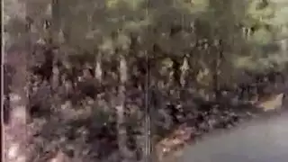 بوسك