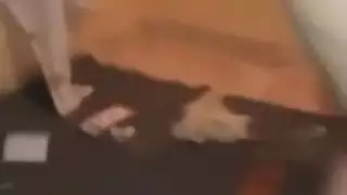 نيك شرموطه مغربيه بطيز مقاطع الفيديو