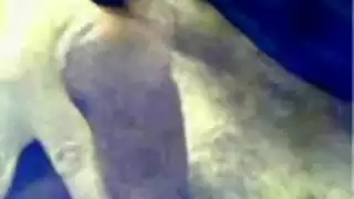 للمرأة العربية