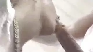 سكس نيك حمير مع بنات