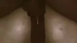 هي مثل في الحمار العربي