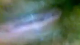 بوبا المتناكه نايمه لعشيقها ومش متحمله زبره الكبير وتوحوح تحت منه وهاتك يا اهات