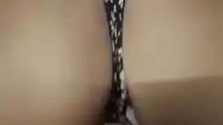 الفرخ العربي يأخذ الديك الأبيض