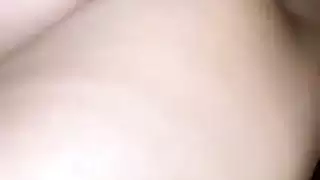 الجنس العربي مصر الحمار الكبير شارموتا