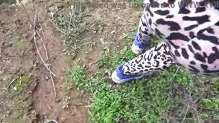 زوجة تركية مسلمة من اسطنبول تخون ابن زوجها البالغ من العمر عامًا