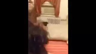 سونيا تمتص ديك أبيض غني