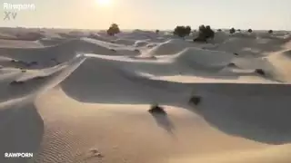 ليندا ديل سول الليالي العربية