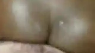 الأبنوس تربية العربية