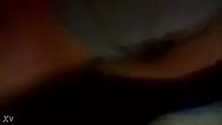 ق الأسد العربي
