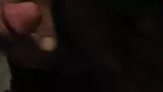 فروج تركي
