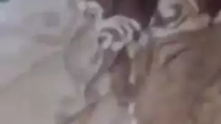 فتاة تسقط سراويلها الداخلية لحبيبها التركي