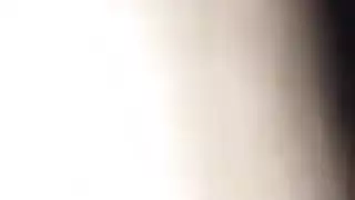 الحمار العربي