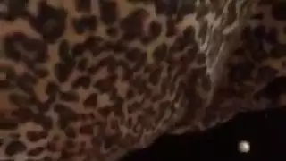 اللسان الحجاب التركي